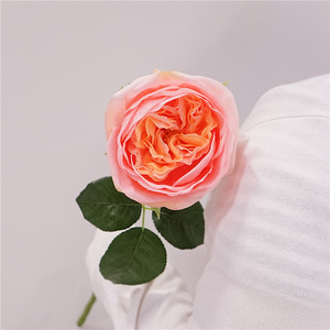 Fiori artificiali vero tocco grande petalo fiore idratare Austin Elsa <span class=keywords><strong>Rosa</strong></span> peonia di seta in lattice <span class=keywords><strong>Rosa</strong></span> per la decorazione della casa d'interni - Product Image 6