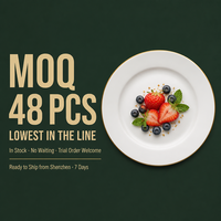 Assiettes plates en porcelaine fine neuves, prêtes à être expédiées, certifiées FDA et CE, faible MOQ, livraison rapide, en stock