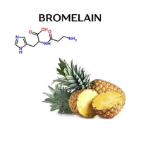 Poudre d'enzyme bromélaïne en gros 2400 GDU/g CAS 9001-00-7 Extrait d'ananas de qualité alimentaire Poudre de bromélaïne