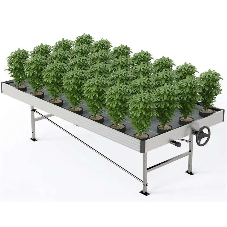 2024新しい温室トマト種子F1ハイブリッド水耕トレイローリングベンチ薬用植物の衰退と流れの成長テーブル