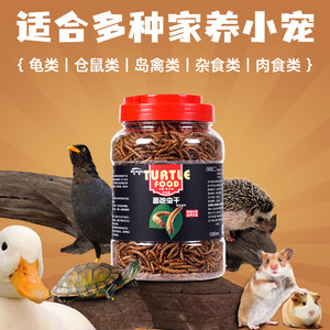 Nourriture pour Tortues Big Cheese : Crevettes d'Eau Douce Lyophilisées et Vers de Farine 120ml 680ml – Nutrition pour Tortues et Animaux de Compagnie - Product Image 4