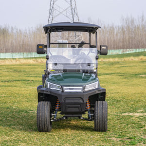 Supply Golf Buggy <b>2</b> <b>Passenger</b> Cart Seat Model for Resort & Villa - Product Image 4