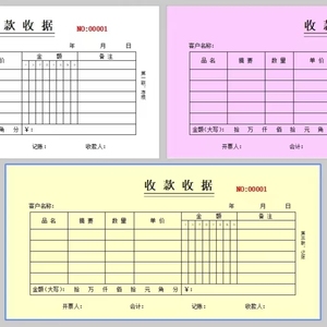 Bán số lượng lớn 2 ply màu NCR preprinted hình thức công việc hóa đơn hình thức nhận cuốn sách 8.5x11.4 inch hóa đơn giấy 2fly carbonless bản sao - Product Image 3
