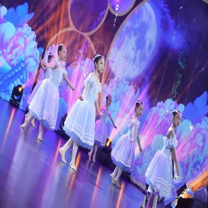 पेशेवर बैले रोमांटिक टुटू लंबी स्कर्ट काले लाल रंग की पोशाक वयस्क बच्चों के बैले प्रदर्शन पोशाक - Product Image 4