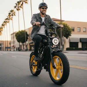 Bicicleta Eléctrica TST R9 para Adultos, Motor de 250W, Batería Integrada de 48V 15Ah/35Ah, Alcance de 55-190km, 25 km/h, Neumáticos Gruesos de 20 Pulgadas - Product Image 5