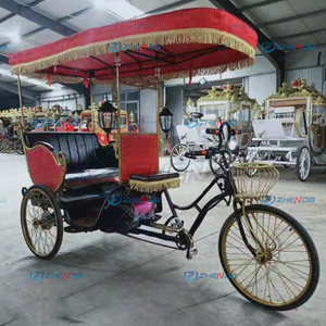 Triciclo de Diferentes Estilos, Carruaje de Caballos/ Carruaje Eléctrico Tradicional sin Caballos en Venta - Product Image 3