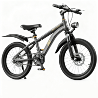 Bisiklet 20 "BMX bisiklet/üretim iyi fiyat ücretsiz tarzı bisiklet 20 inç sokak BMX bisiklet ile disk fren