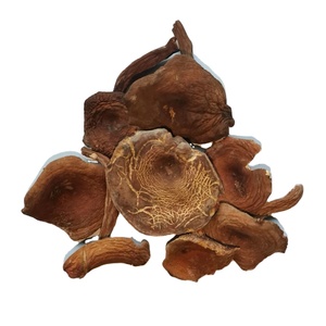<span class=keywords><strong>Champignons</strong></span> Lactifluus Volemus séchés cultivés en Chine, à vendre - Product Image 1