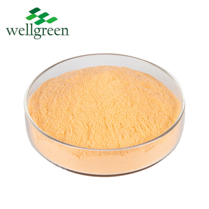 Organic Mangoes Powder Seed Flavor Juice Freeze Dried Leaf <strong>Fruit</strong> African Fresh Mangos Mango <strong>Extract</strong> - Product Image 3