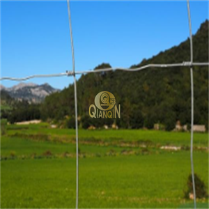 QianQin 가축 울타리 아연 도금 소 사슴 울타리 돼지 염소 말을위한 무거운 아연 코팅 와이어 메쉬 농장 - Product Image 6