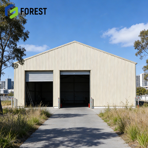 Entrepôt industriel préfabriqué à structure en acier pour plafonds hauts, conception personnalisée, ossature robuste, poutre longue portée pour usage hospitalier - Product Image 1