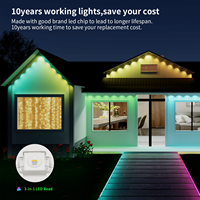 Luz Navideña Permanente de Diseño Personalizado Gouly, Luz LED de Punto para Exteriores con Clasificación IP68 a Prueba de Agua