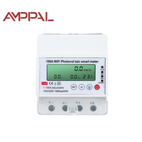 Compteur prépayé bidirectionnel AMPPAL OEM avec minuterie à réenclenchement automatique, compatible Tuya Smart Life, Wi-Fi, numérique, monophasé, 100A, classe 1.0