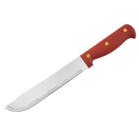 Hete Verkoop Kwaliteit Plastic Kleurrijk Handvat Rvs Fruit Steak Mes