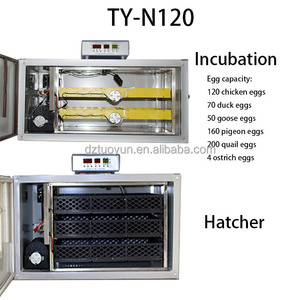 Incubateur à œufs de petite taille pour poulets, œufs d'<span class=keywords><strong>autruche</strong></span>, double alimentation, <span class=keywords><strong>prix</strong></span> d'usine TUOYUN - Product Image 2