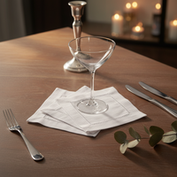 Ensemble de dessous-de-plat et sets de table en lin bohème éco-responsable 3mm, avec ourlet festonné, durable, protection de table, pour cocktails, artisanal de qualité supérieure