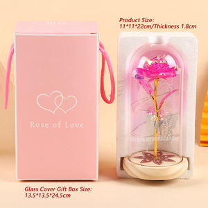 Nueva luz Led 24K hoja de oro cúpula de cristal Rosa regalo para el Día de San Valentín Regalo de Cumpleaños galaxia Flor Mariposa en cúpula de cristal - Product Image 3