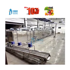 Yellow Peaches Processing Machines Automatic Peach Canned Process Machinery