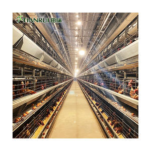 Tavuk çiftliği ekipmanları kalça daldırma galvanizli çelik H tipi çok katlı katman yetiştiriciliği pil tavuk kafesi - Product Image 4