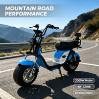Moto électrique pour adultes avec double amortisseur, autonomie de 50-60 km, 40 °   Capacité de montée, vélo électrique certifié CE UL SAA