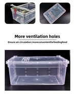 Boîte à reptiles transparente en plastique PP, cage d'alimentation portable, terrarium pour dragon barbu, gecko léopard, serpent, araignée, habitat