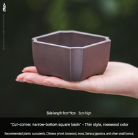 Maceta para Suculentas, Cuadrada, de Plástico, con Base Cónica, para Jardinería, Hogar, Ventana, Escritorio, Precio Especial, Liquidación, Envío Gratis