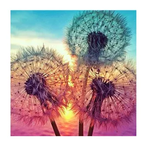 Full Round Drill Diy Diamond Painting Plant Picture Dandelion In Sunset Glow Diamond Embroidery Cross Stitch Mosaic Painting