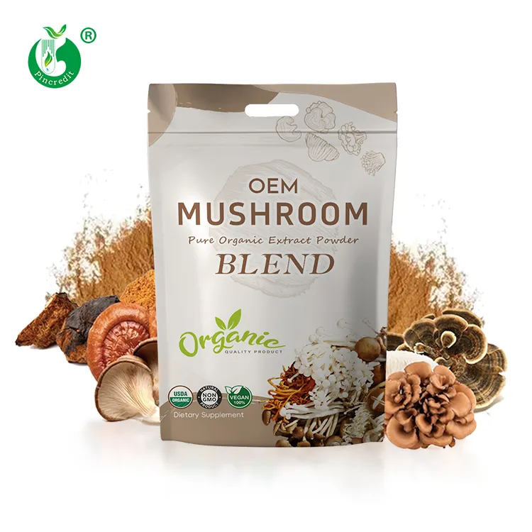 Health Supplements Lions Mane/Reishi/Chaga/Turkey Tail/Shiitake Organic Mushroom Extract Powder Blend