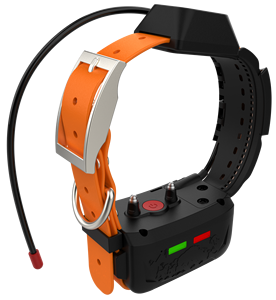Rastreador GPS Portátil ESEEK para Perros de Caza, VHF+4G, <span class=keywords><strong>Mapa</strong></span> Fuera de Línea, Compatible con <span class=keywords><strong>Google</strong></span> <span class=keywords><strong>Maps</strong></span> - Product Image 1