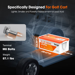 Abd stok 48V 51.2V LiFePO4 200A elektrikli Golf arabası pil lityum pil ile 200A akıllı BMS - Product Image 3