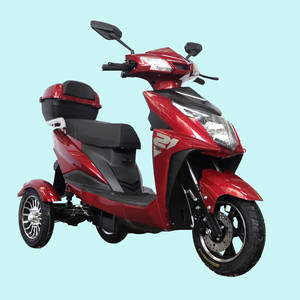 Triciclos Eléctricos OEM de 1000W para <span class=keywords><strong>Dos</strong></span> Pasajeros para Negocios, Triciclos Eléctricos Ecológicos para Desplazamientos Urbanos - Product Image 6