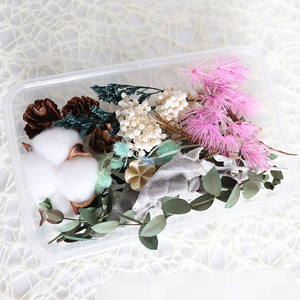 Paquete de flores secas E07119, paquete de flores prensadas para manualidades, para regalo - Product Image 6