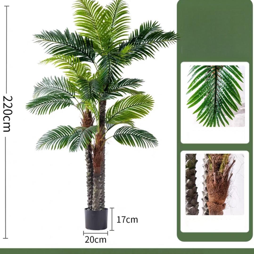 Palma verde da 2,2 metri