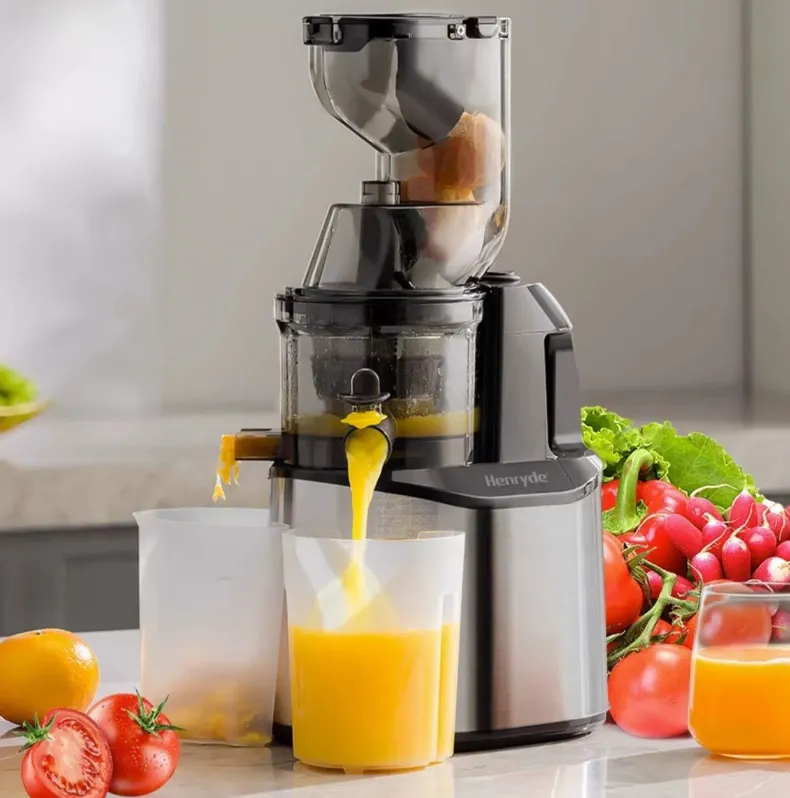 शीर्ष गुणवत्ता वाणिज्यिक ठग चिमटा धीमी ठंड प्रेस Juicer Exprimidor डे Frutas Entsafter Jusar मशीन फल Juicer