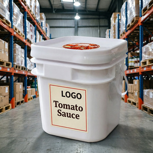 Base <span class=keywords><strong>de</strong></span> Sauce Tomate OEM pour Hot Pot, Assaisonnement Commercial pour Plat Mandarin Duck, Sauce pour Bœuf Brisket, Nouilles <span class=keywords><strong>de</strong></span> Riz - Product Image 1