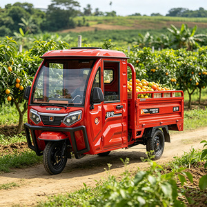 Tricycle cargo électrique à trois <span class=keywords><strong>roues</strong></span>, carrosserie fermée, 1000W, vélo électrique puissant - Product Image 1
