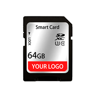 Kartu SD Programmable CID Kustom, Kartu Memori 8GB 32GB 64GB untuk GPS, Terminal POS, dan Printer Fiskal, Logo Kustom Tersedia