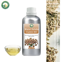 Factory Direct Water Soluble Cumin Seed Oil Food Grade Natural Spice for Sauce Instant Food Free Sample Available