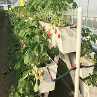 Mqfm — serre de culture hydroponique intérieure, à bas prix, tour verticale intelligente pour jardin, tomate, fraise, pour vente