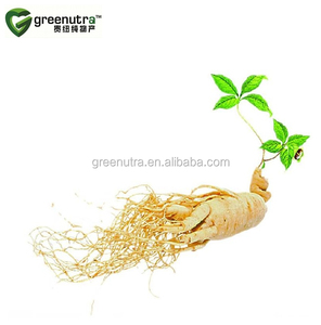 Tiêu chuẩn hóa Panax <span class=keywords><strong>Ginseng</strong></span> chiết xuất nhân sâm bột <span class=keywords><strong>10</strong></span>:1 <span class=keywords><strong>10</strong></span> ginsenosides năng lượng thúc đẩy bổ sung Radix công thức - Product Image 3