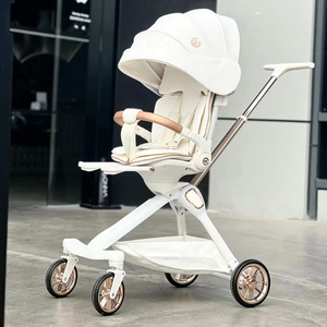 <span class=keywords><strong>Poussette</strong></span> Bébé 2 En 1 <span class=keywords><strong>Poussette</strong></span> Convertible Pliable <span class=keywords><strong>Rider</strong></span> <span class=keywords><strong>Poussette</strong></span> Pour Bébé - Product Image 6