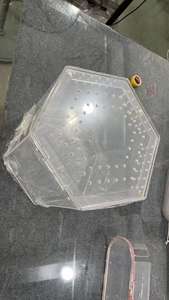 Aangepaste Grootte En Logo 5Mm Acryl Zeshoekige Vorm Reptiel Terrarium Zeshoek Acryl Behuizing - Product Image 6