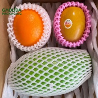 Schokbestendige EPE schuimnetten voor beschermende verpakkingen van drakenvruchten, avocado's en mango's