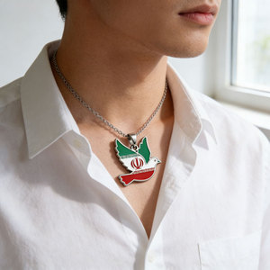 สร้อยคอเหล็กกล้าไร้สนิม 316L กันน้ำ ลายพิราบแห่งสันติภาพ รุ่น 2026 ชุบทอง 14k 18k PVD ลายแผนที่อิหร่าน สำหรับผู้หญิง - Product Image 4