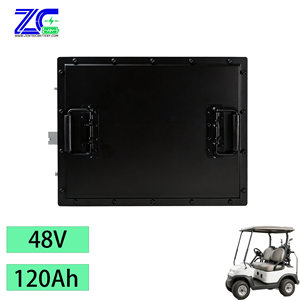 Batería de Litio Hierro de Alta Calidad a Precio de Fábrica, 51.2V 48V 120Ah, para Carrito de Golf, Paquete de Ciclo Profundo - Product Image 4