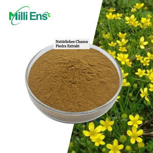 Food Grade Plant <span class=keywords><strong>Extract</strong></span> Organische Chanca Piedra <span class=keywords><strong>Extract</strong></span> 10:1 Natuurlijke Chanca Piedra <span class=keywords><strong>Extract</strong></span> Poeder - Product Image 1