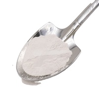 Haute pureté 99.9% nanoparticules Ag999 feuille conductrice poudre d'argent nano poudre d'argent pour revêtements conducteurs