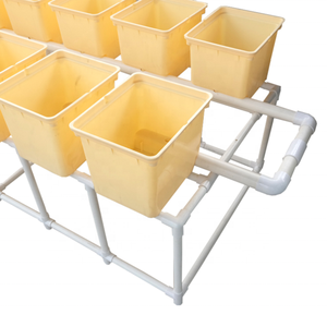 Sistemas Completos de Cultivo Hidropónico para <span class=keywords><strong>Agricultura</strong></span>, Cultivo de Pepinos - Product Image 3