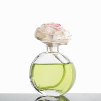 Diffuseur de roseau plat décoration en verre diffuseur d'arôme bouteille avec bâton personnalisé Premium 100ml verre transparent avec couvercle