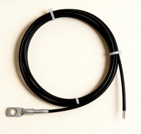 Sonde de température industrielle aquatique PT100 CWDZ00, sonde de résistance au platine de haute précision en acier inoxydable IP68